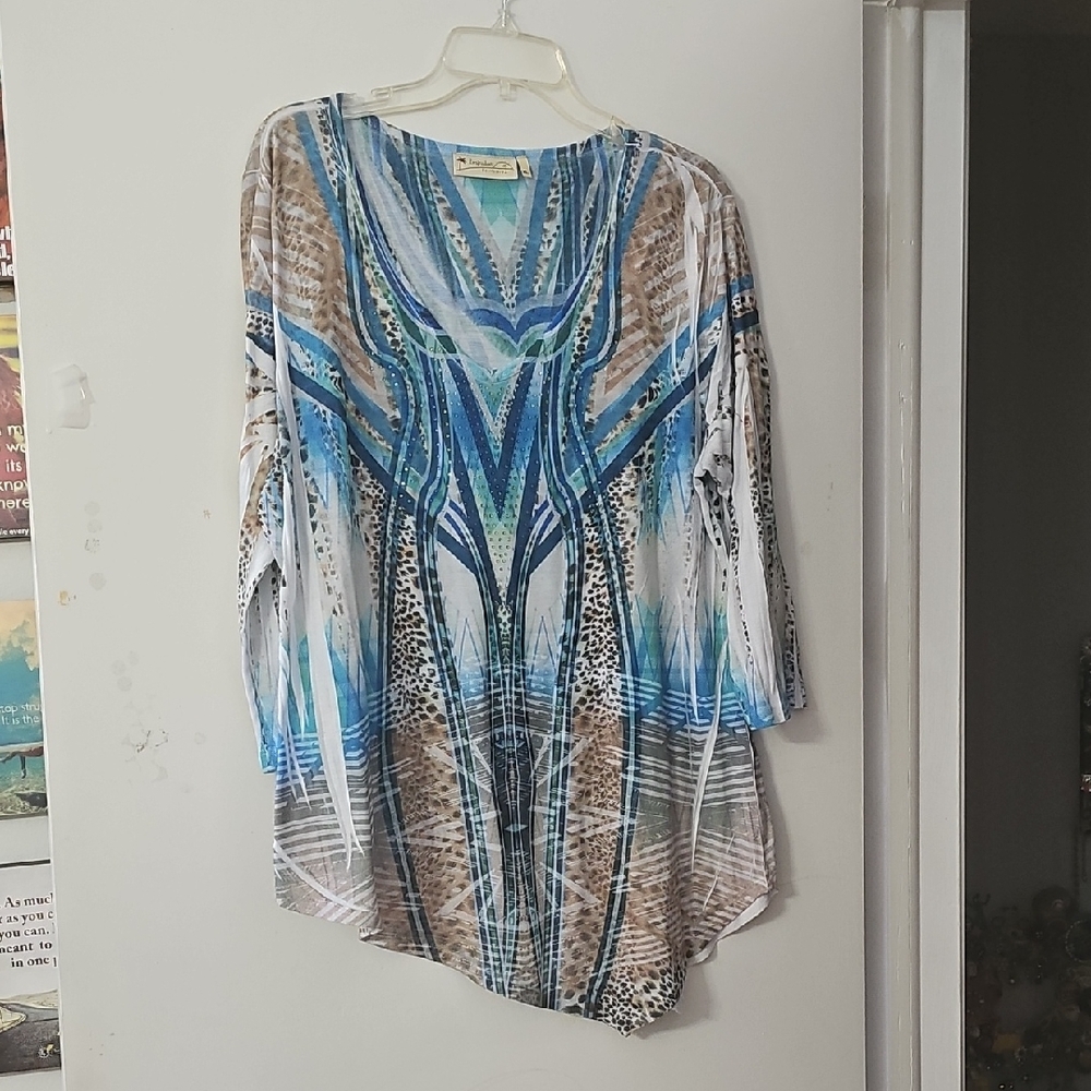 Stylish Blue and Brown Women's Tunic